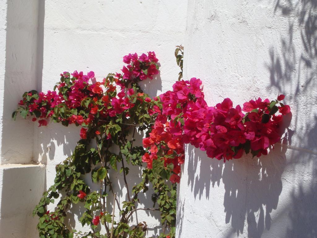 Masseria Bianca Di Puglia Monopoli Zimmer foto